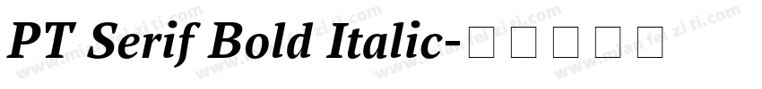 PT Serif Bold Italic字体转换